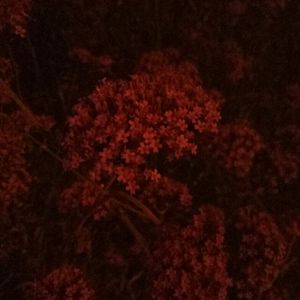 亚洲综合国产原创国产精品
